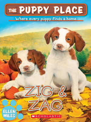 cover image of Zig & Zag
